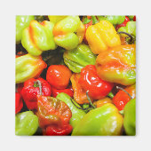 Scotch Bonnet Magnet (Vorne)