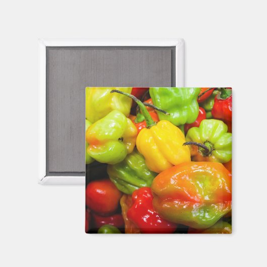 Scotch Bonnet Magnet (Vorderseite/Rückseite)