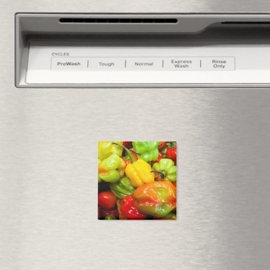 Scotch Bonnet Magnet (In Situ (Geschirrspüler))
