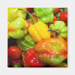 Scotch Bonnet Magnet