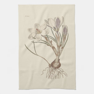 Scotch Crocus Botanical Illustration Handtuch