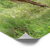 Scotch Eats Poster (Ecke)