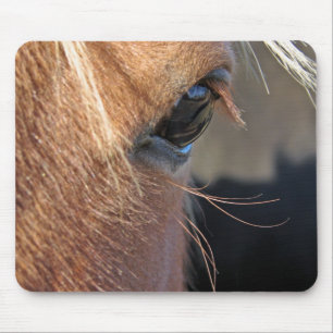 Scotch Extreme Closeup Mousepad