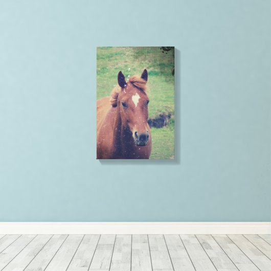 Scotch Grunge Leinwanddruck (Insitu (Holzboden))