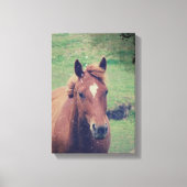 Scotch Grunge Leinwanddruck (Vorderseite)