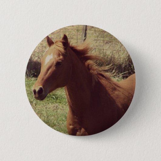 Scotch in Motion Button (Vorderseite)