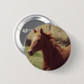 Scotch in Motion Button (Vorne & Hinten)