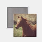 Scotch in Motion Magnet (Vorderseite/Rückseite)