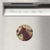 Scotch in Motion Magnet (In Situ (Geschirrspüler))