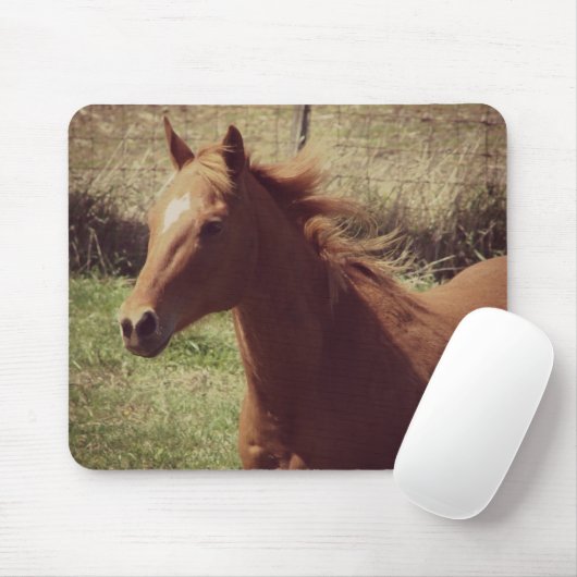 Scotch in Motion Mousepad (Mit Mouse)