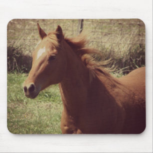 Scotch in Motion Mousepad