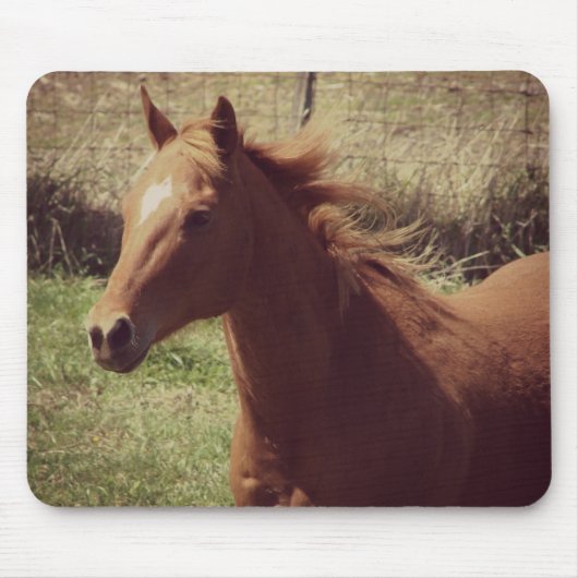 Scotch in Motion Mousepad (Vorne)