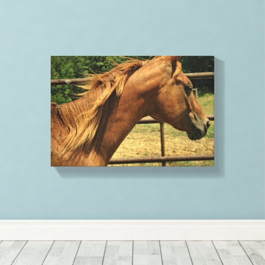 Scotch Round Pen Leinwanddruck (Insitu (Holzboden))