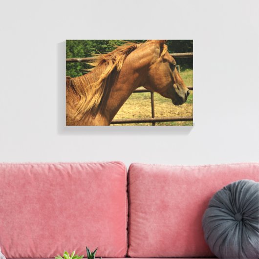 Scotch Round Pen Leinwanddruck (Insitu (Wohnzimmer))