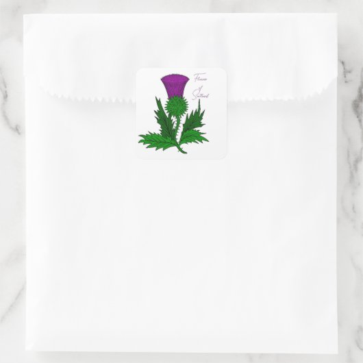 Scotch Thistle Square Stickers (Tasche)