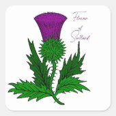 Scotch Thistle Square Stickers (Vorderseite)