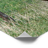 Scotch und Blitzy Trot Towards Camera Poster (Ecke)