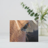 Scotchextremisseup Postkarte (Stehend Vorderseite)