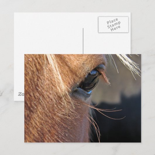 Scotchextremisseup Postkarte (Vorne/Hinten)