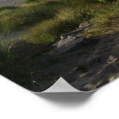 Scotland Findhorn Poster (Ecke)