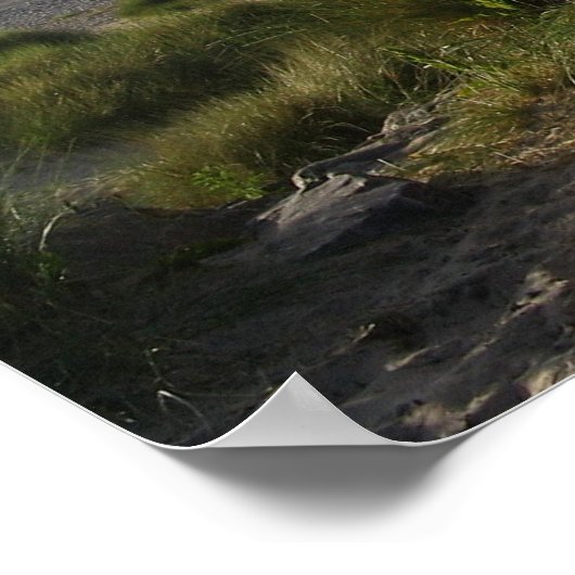 Scotland Findhorn Poster (Ecke)