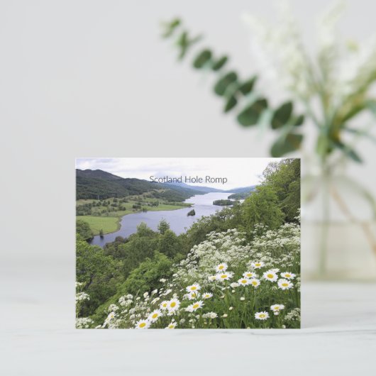 Scotland Hole Romp Postkarte (Stehend Vorderseite)