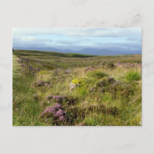 Scotland Postkarte (Vorderseite)