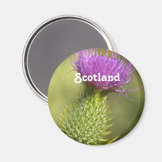 Scotland Thistle Magnet (Vorderseite/Rückseite)