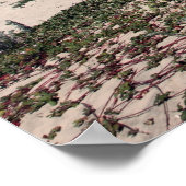 Scott Creek Beach Hwy 1 Poster (Ecke)