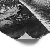 Scott Creek Poster (Ecke)