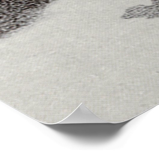 Scott Surreal Winter Night Poster (Ecke)