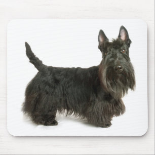 Scott Terrier Puppy Dog Mousepad