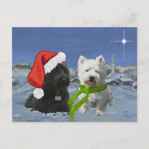 Scottie and Westie Christmas Star Feiertagspostkarte