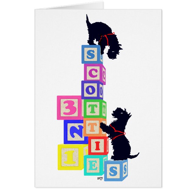 Scottie Blocks (Vorne)