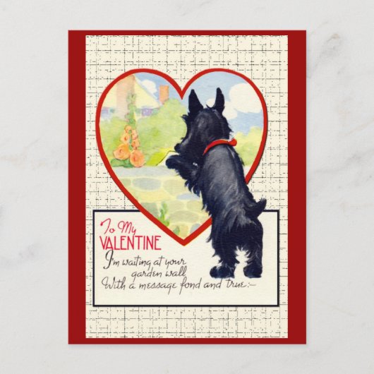Scottie dog Valentine Scottish Terrier Feiertagspostkarte (Vorderseite)