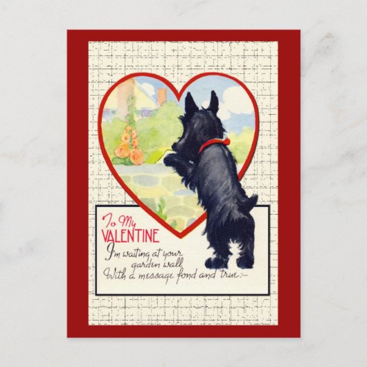 Scottie dog Valentine Scottish Terrier Feiertagspostkarte (Vorderseite)