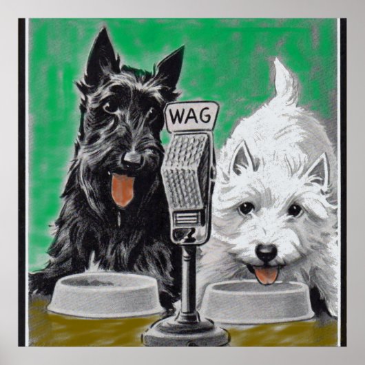Scottie dogs Blackie and Whitie im Radio Poster (Vorne)