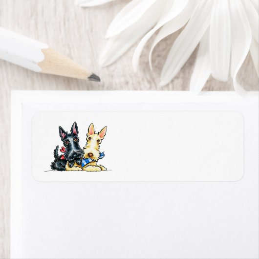 Scottie Gingham Süssen (Insitu)