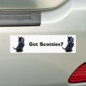 Scottie - got Plätzchen? Autoaufkleber (Auf Auto)