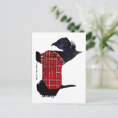 Scottie Holiday Jacket Feiertagspostkarte (Stehend Vorderseite)