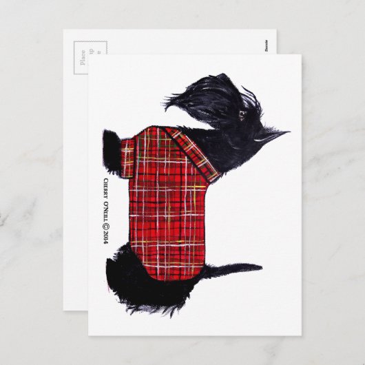 Scottie Holiday Jacket Feiertagspostkarte (Vorne/Hinten)