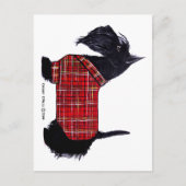 Scottie Holiday Jacket Feiertagspostkarte (Vorderseite)