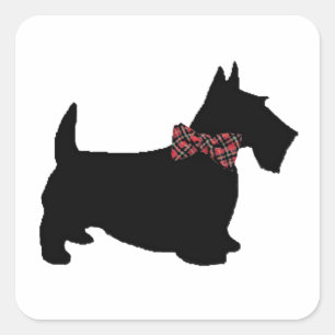 Scottie Hund in der Karierten Bow-Krawatte Quadratischer Aufkleber
