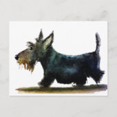 Scottie-Hund Postkarte (Vorderseite)