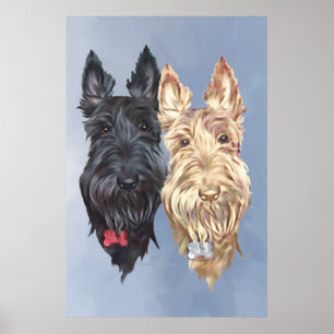 Scottie Hunde Poster