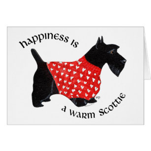 Scottie im roten Karo-Pullover