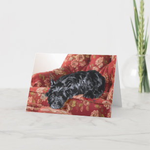 Scottie in einem großen roten Sessel Karte