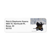 Scottie in Snow (Vorne)