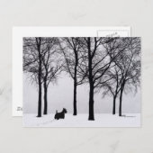 Scottie in Snowy Woods Postkarte (Vorne/Hinten)