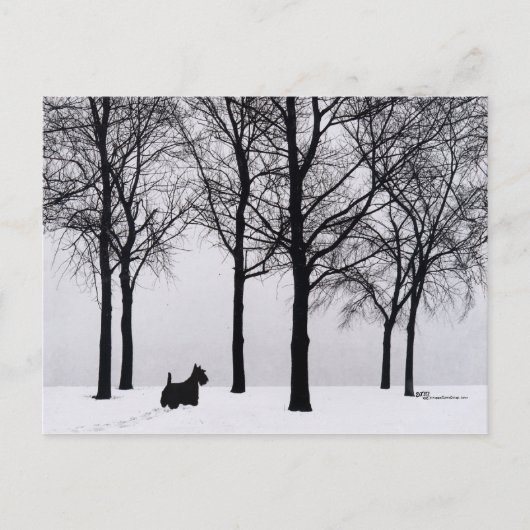 Scottie in Snowy Woods Postkarte (Vorderseite)